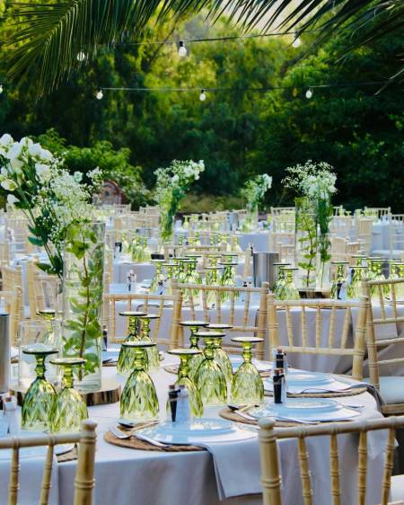 Στολισμός Δεξίωσησ Άγιος Παντελεήμων Μονοδέντρι.